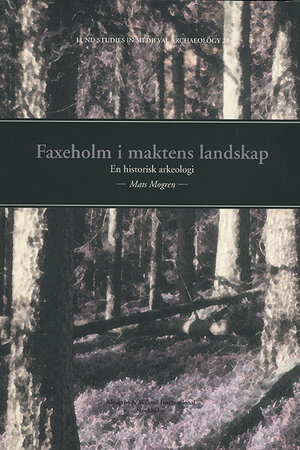 Faxeholm i maktens landskap