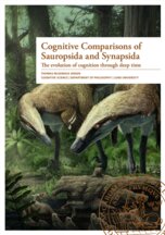 Cognitive Comparisons of Sauropsida and Synapsida